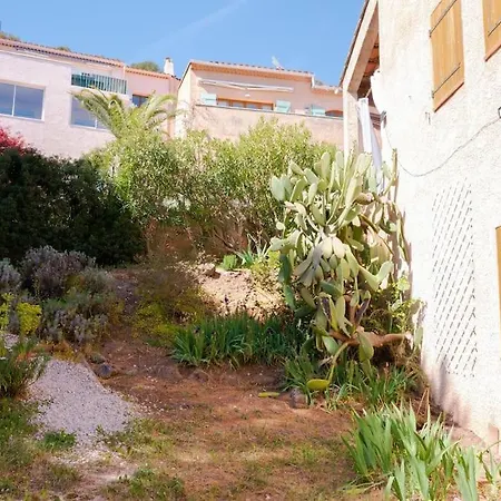 Maison Familiale Sous Les Palmiers De * Hyeres
